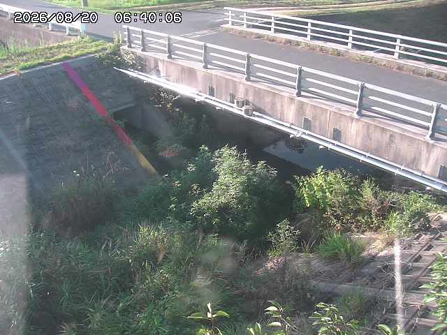 茅町川１2026/08/20 9:10:00