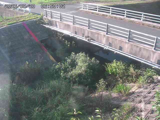 茅町川１2026/08/20 9:10:00