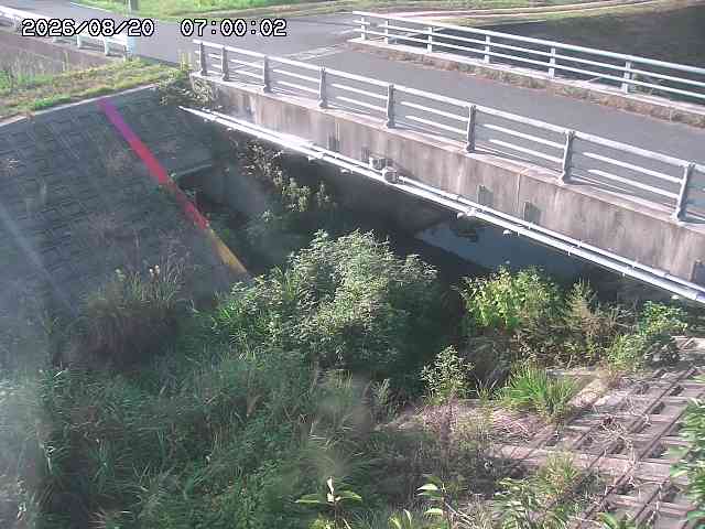 茅町川１2026/08/20 9:10:00