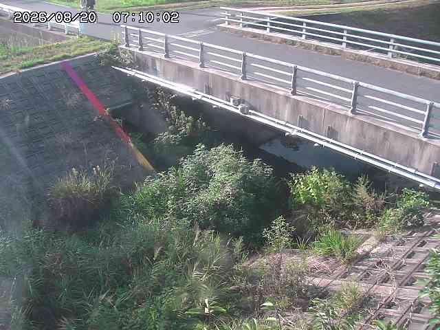 茅町川１2026/08/20 9:10:00