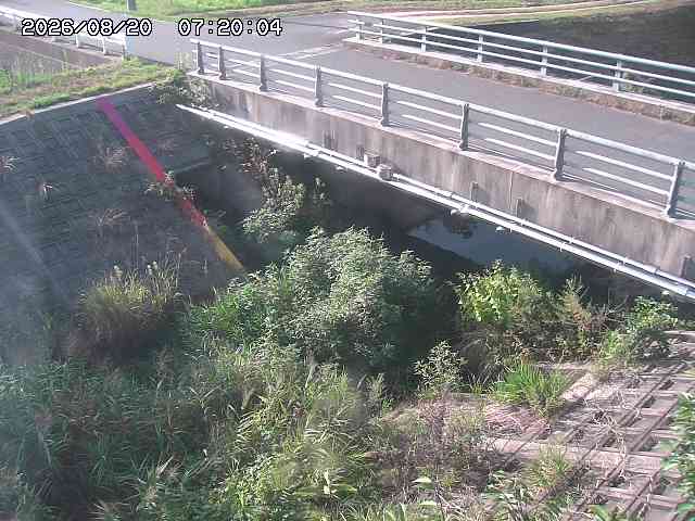 茅町川１2026/08/20 9:10:00