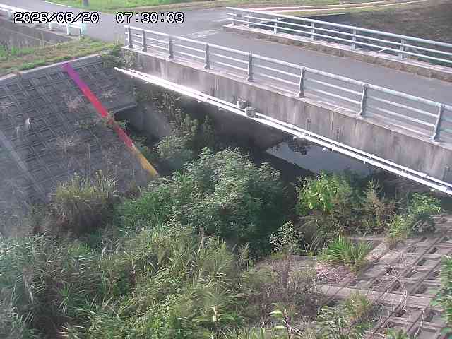 茅町川１2026/08/20 9:10:00