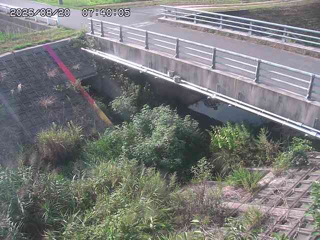 茅町川１2026/08/20 9:10:00