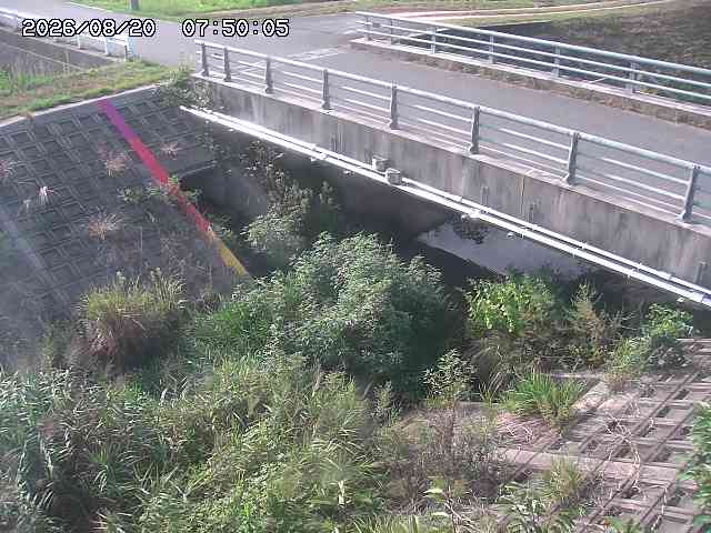 茅町川１2026/08/20 9:10:00