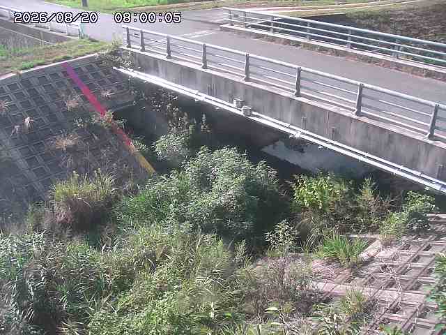 茅町川１2026/08/20 9:10:00