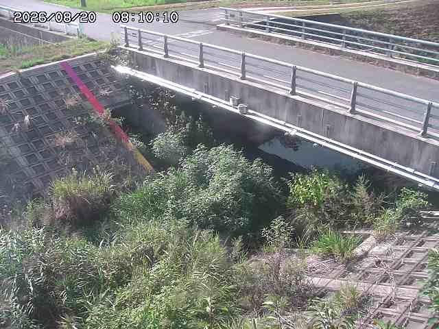 茅町川１2026/08/20 9:10:00
