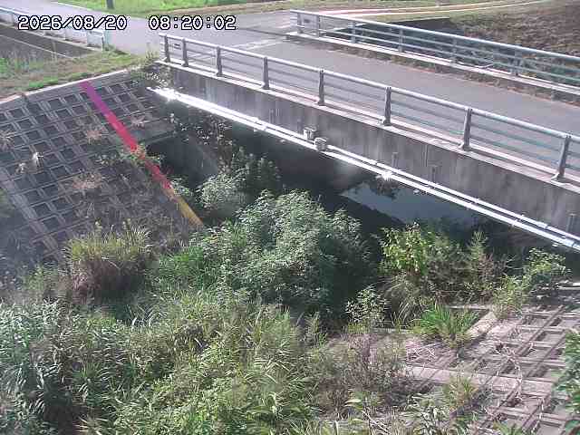 茅町川１2026/08/20 9:10:00