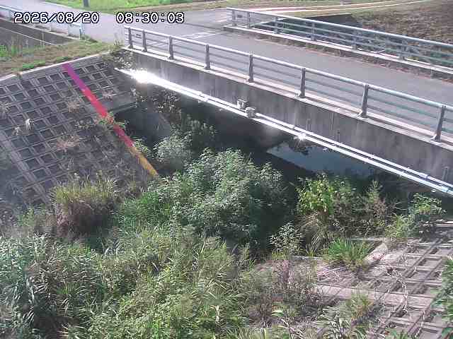 茅町川１2026/08/20 9:10:00