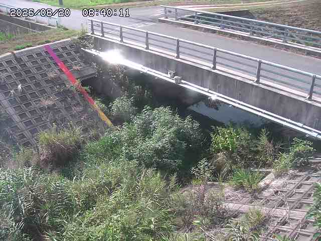 茅町川１2026/08/20 9:10:00