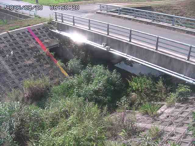 茅町川１2026/08/20 9:10:00