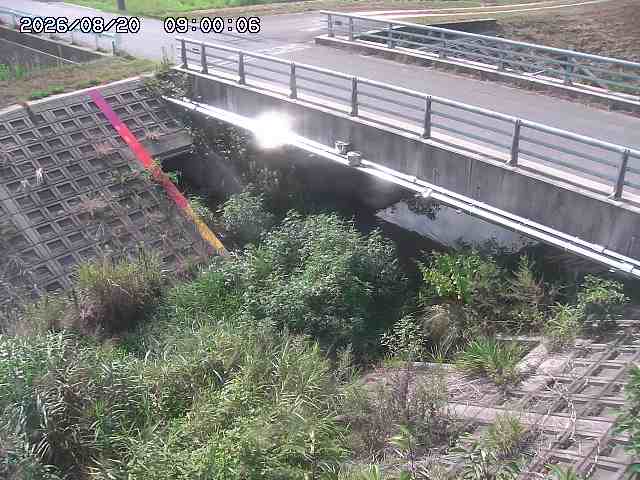 茅町川１2026/08/20 9:10:00