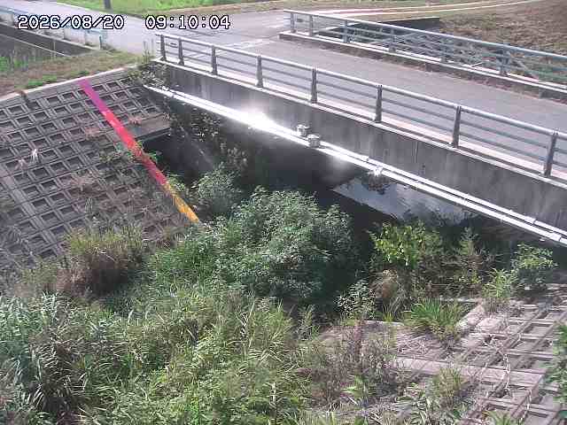 茅町川１2026/08/20 9:10:00