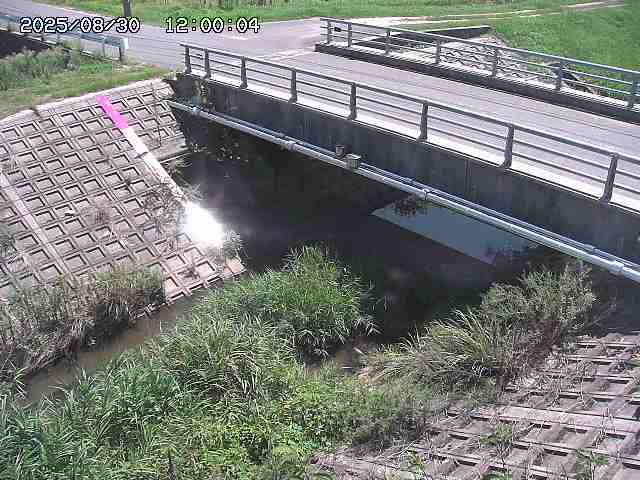 茅町川１2025/08/31 9:20:00