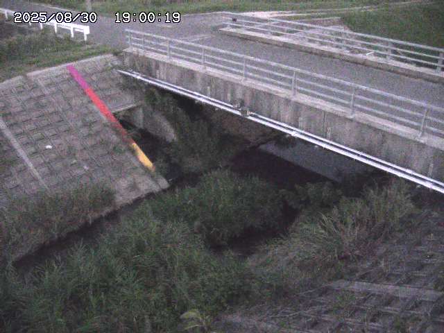 茅町川１2025/08/31 9:20:00