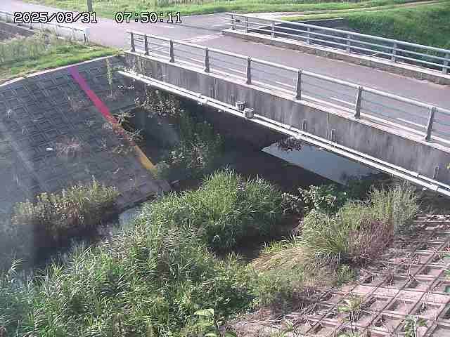 茅町川１2025/08/31 9:20:00