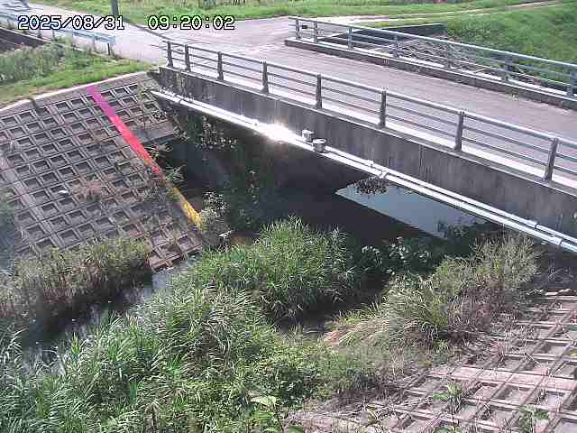 茅町川１2025/08/31 9:20:00