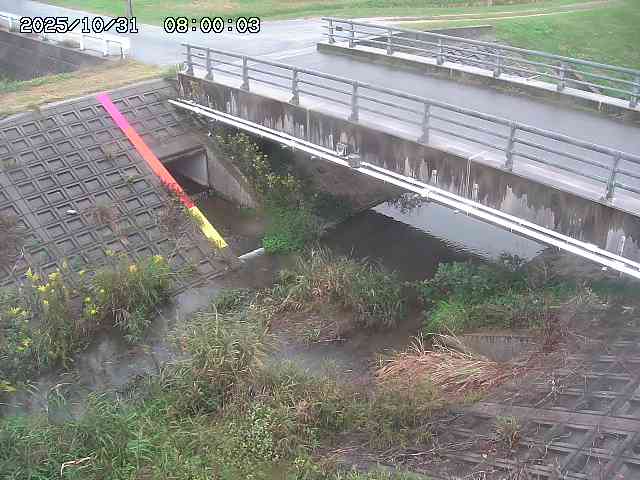 茅町川12025/11/01 0:00:00