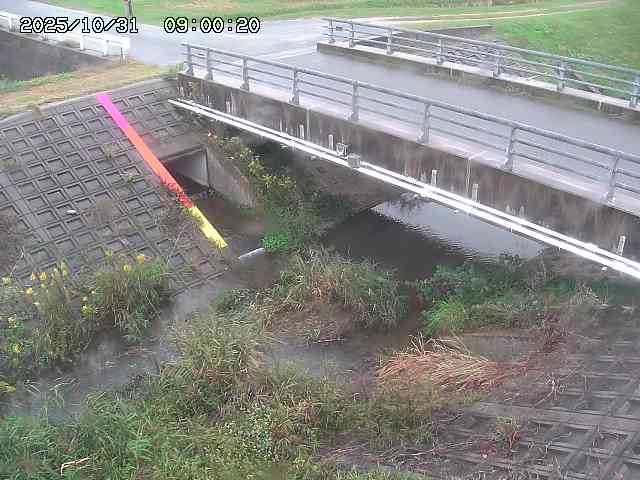 茅町川12025/11/01 0:00:00