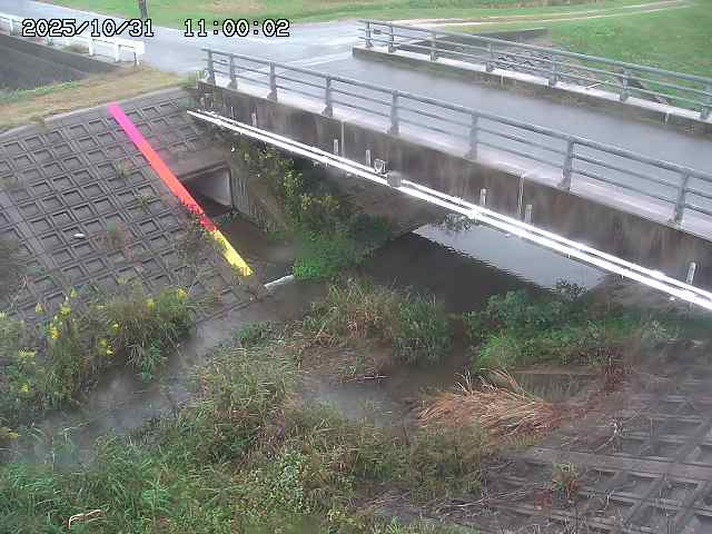 茅町川12025/11/01 0:00:00