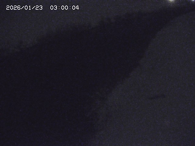 由良川３2026/01/24 3:10:00