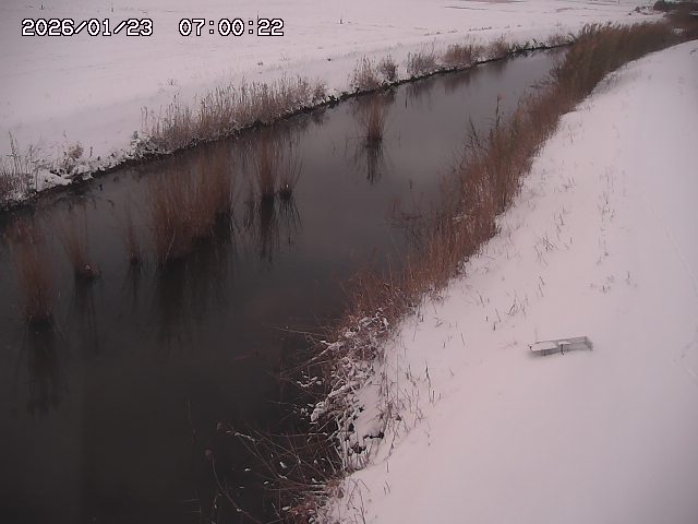 由良川３2026/01/24 3:10:00