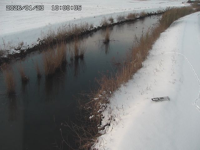 由良川３2026/01/24 3:10:00