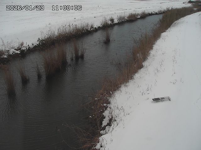 由良川３2026/01/24 3:10:00