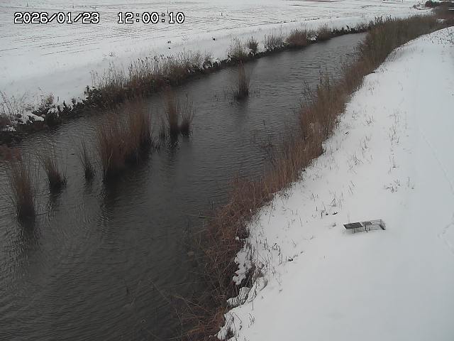 由良川３2026/01/24 3:10:00