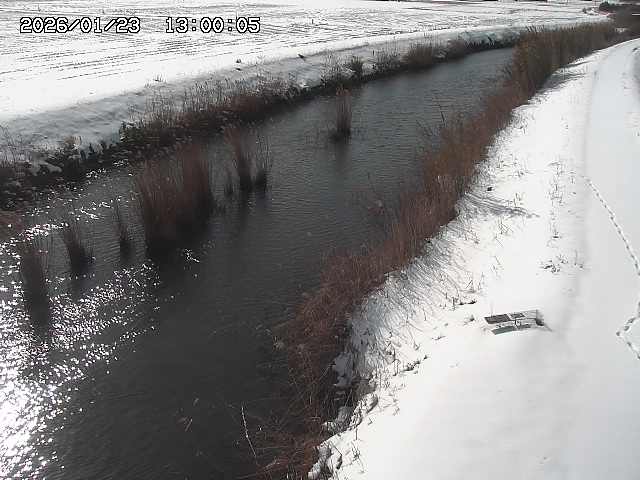 由良川３2026/01/24 3:10:00