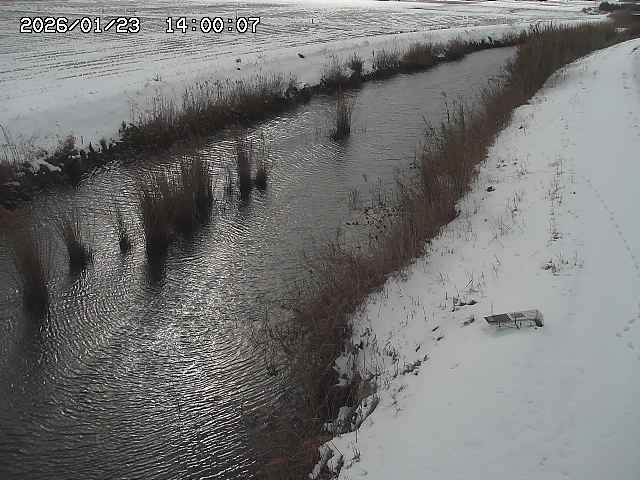 由良川３2026/01/24 3:10:00