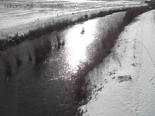 由良川３2026/01/24 3:10:00