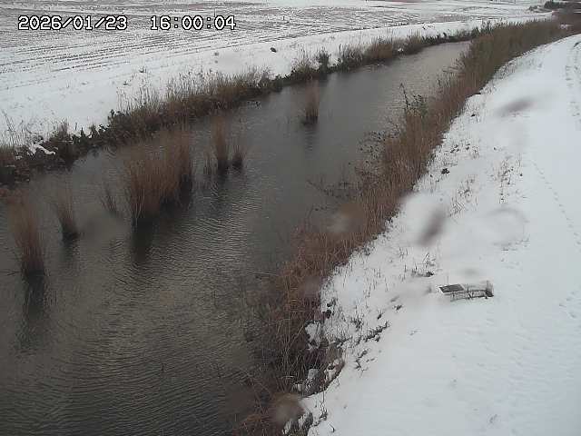 由良川３2026/01/24 3:10:00