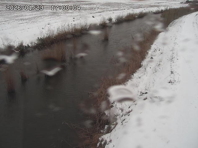 由良川３2026/01/24 3:10:00