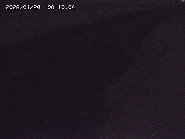 由良川３2026/01/24 3:10:00