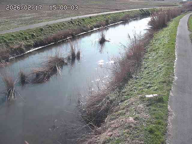 由良川３2026/02/17 18:30:00