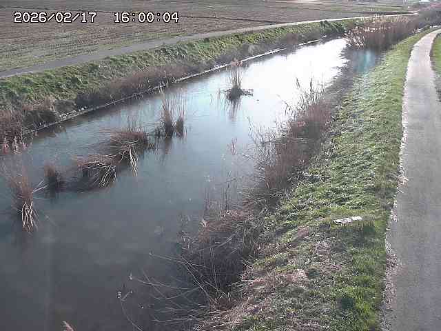 由良川３2026/02/17 18:30:00