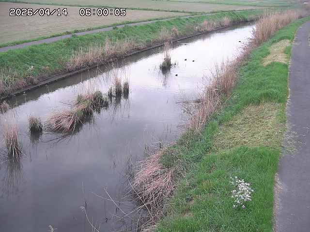 由良川３2026/04/14 17:00:00