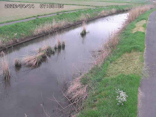 由良川３2026/04/14 17:00:00