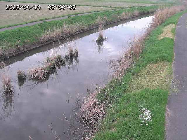 由良川３2026/04/14 17:00:00