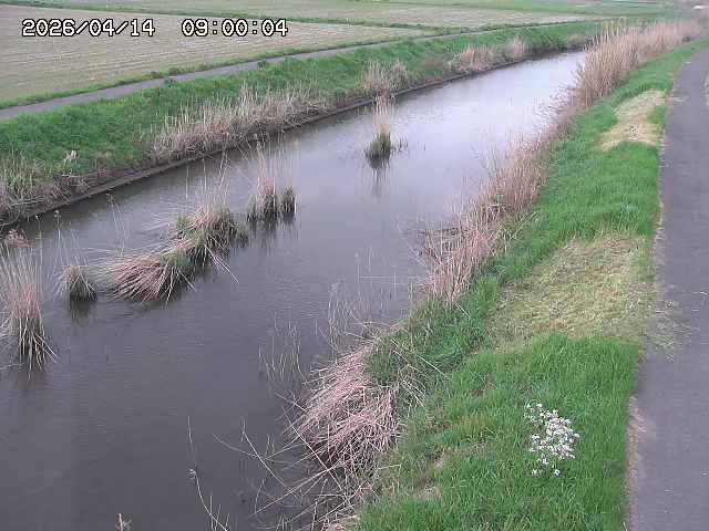 由良川３2026/04/14 17:00:00