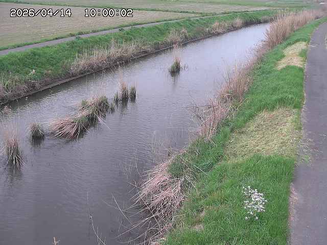 由良川３2026/04/14 17:00:00