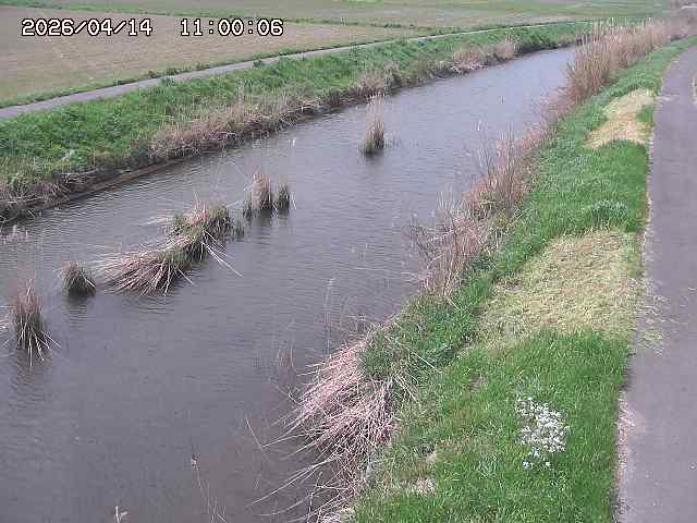 由良川３2026/04/14 17:00:00