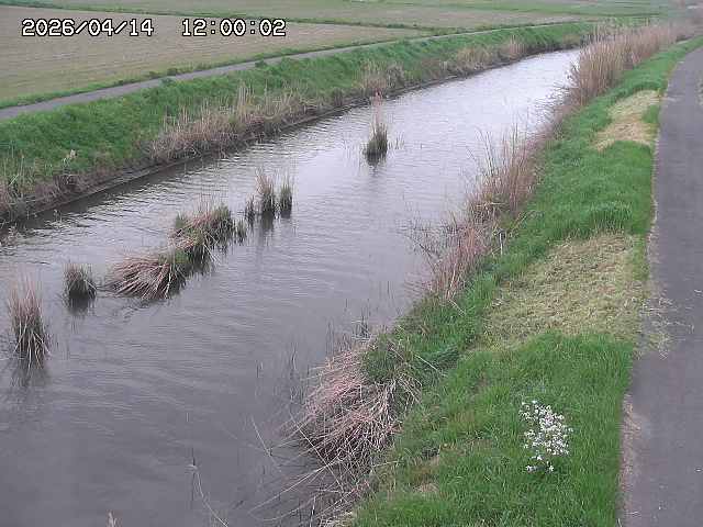 由良川３2026/04/14 17:00:00