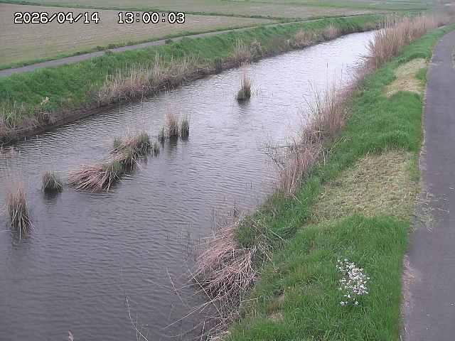 由良川３2026/04/14 17:00:00