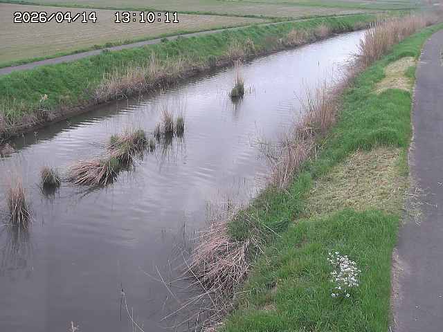 由良川３2026/04/14 17:00:00