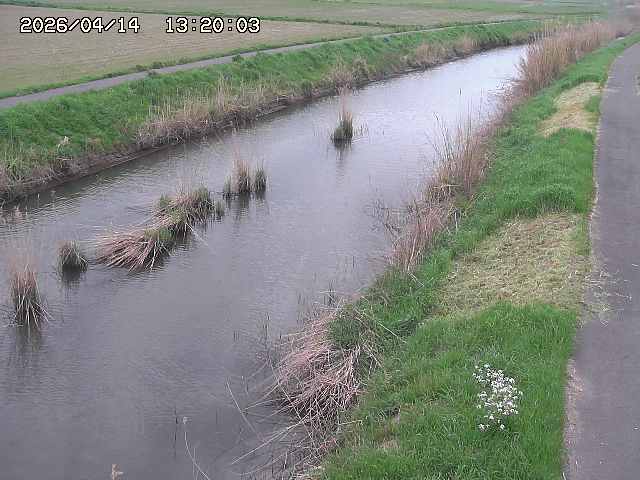 由良川３2026/04/14 17:00:00