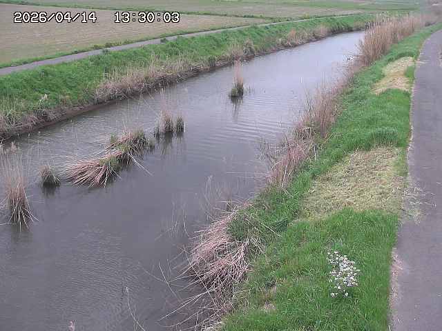 由良川３2026/04/14 17:00:00