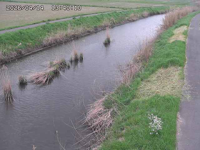 由良川３2026/04/14 17:00:00