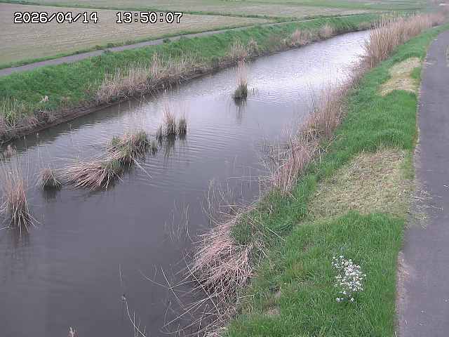 由良川３2026/04/14 17:00:00