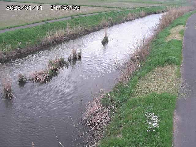 由良川３2026/04/14 17:00:00